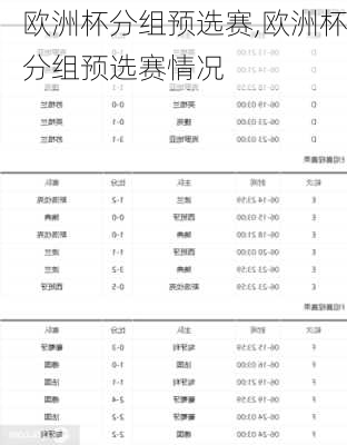 欧洲杯分组预选赛,欧洲杯分组预选赛情况