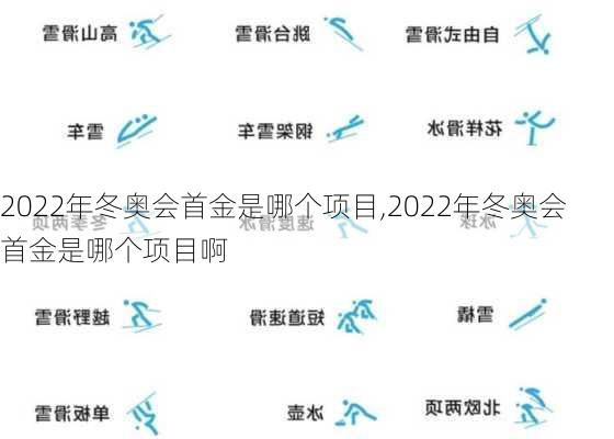 2022年冬奥会首金是哪个项目,2022年冬奥会首金是哪个项目啊