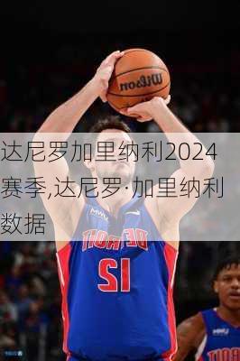 达尼罗加里纳利2024赛季,达尼罗·加里纳利数据