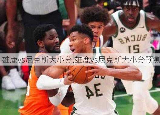 雄鹿vs尼克斯大小分,雄鹿vs尼克斯大小分预测