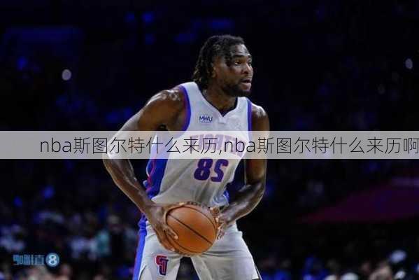 nba斯图尔特什么来历,nba斯图尔特什么来历啊