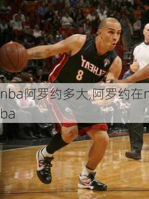 nba阿罗约多大,阿罗约在nba