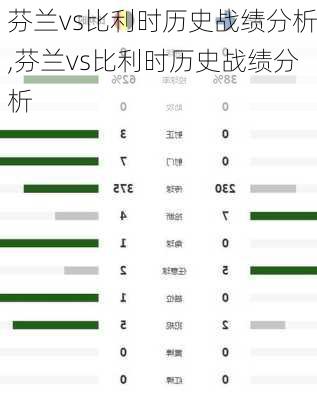 芬兰vs比利时历史战绩分析,芬兰vs比利时历史战绩分析