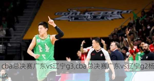 cba总决赛广东vs辽宁g3,cba总决赛广东vs辽宁g2杨鸣