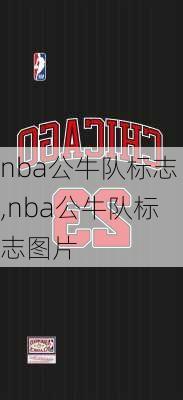 nba公牛队标志,nba公牛队标志图片