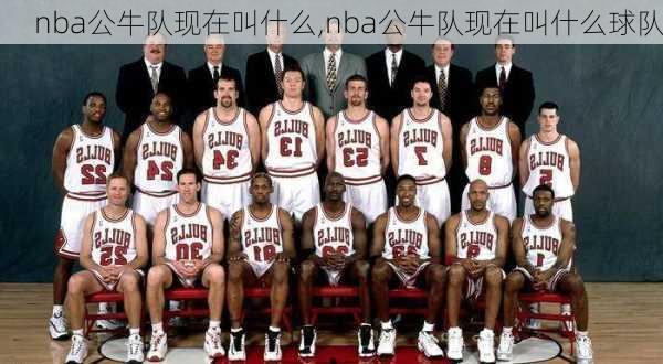 nba公牛队现在叫什么,nba公牛队现在叫什么球队