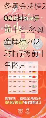 冬奥金牌榜2022排行榜前十名,冬奥金牌榜2022排行榜前十名图片