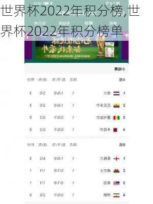 世界杯2022年积分榜,世界杯2022年积分榜单