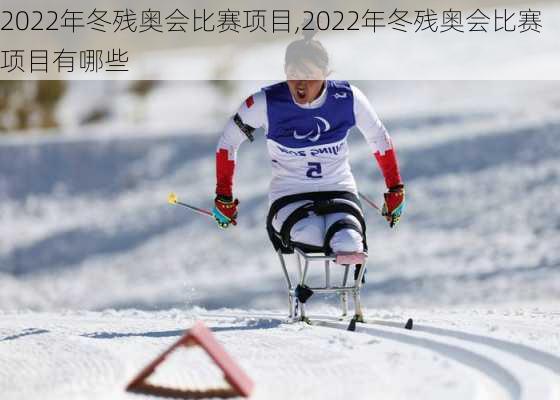 2022年冬残奥会比赛项目,2022年冬残奥会比赛项目有哪些