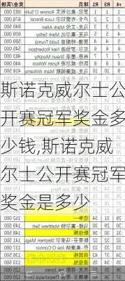 斯诺克威尔士公开赛冠军奖金多少钱,斯诺克威尔士公开赛冠军奖金是多少