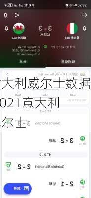 意大利威尔士数据,2021意大利威尔士