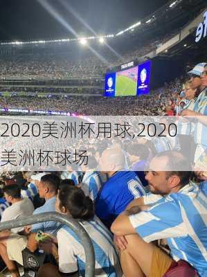 2020美洲杯用球,2020美洲杯球场