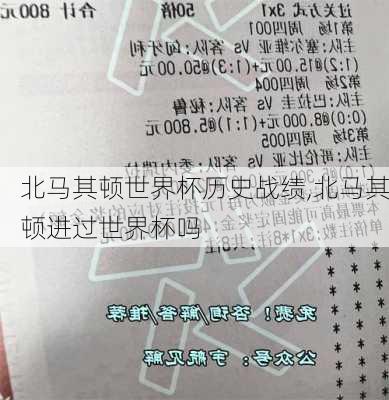 北马其顿世界杯历史战绩,北马其顿进过世界杯吗