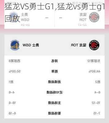 猛龙VS勇士G1,猛龙vs勇士g1回放