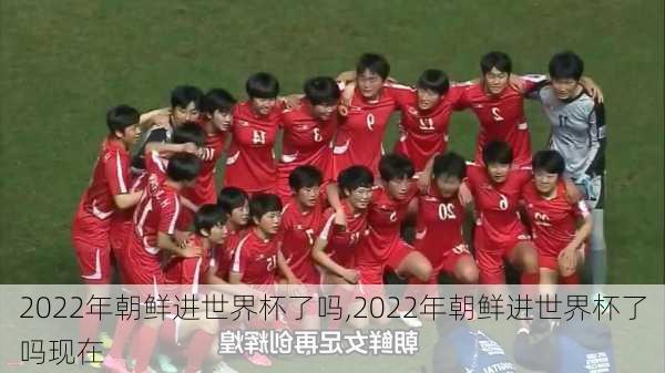 2022年朝鲜进世界杯了吗,2022年朝鲜进世界杯了吗现在