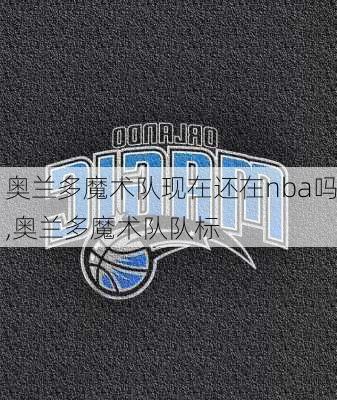 奥兰多魔术队现在还在nba吗,奥兰多魔术队队标