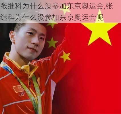 张继科为什么没参加东京奥运会,张继科为什么没参加东京奥运会呢