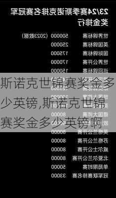 斯诺克世锦赛奖金多少英镑,斯诺克世锦赛奖金多少英镑啊