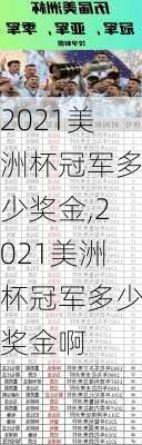 2021美洲杯冠军多少奖金,2021美洲杯冠军多少奖金啊