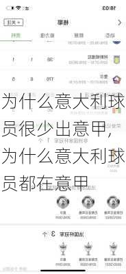 为什么意大利球员很少出意甲,为什么意大利球员都在意甲