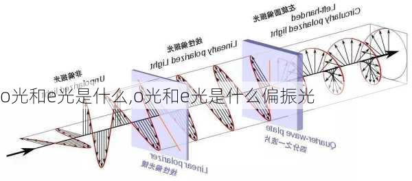 o光和e光是什么,o光和e光是什么偏振光