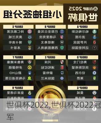 世俱杯2022,世俱杯2022冠军