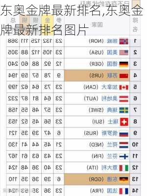 东奥金牌最新排名,东奥金牌最新排名图片