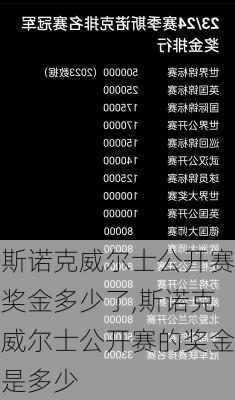 斯诺克威尔士公开赛奖金多少了,斯诺克威尔士公开赛的奖金是多少