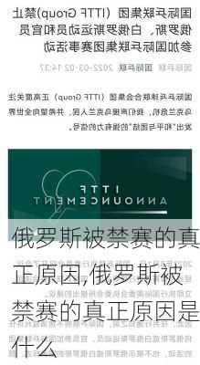 俄罗斯被禁赛的真正原因,俄罗斯被禁赛的真正原因是什么