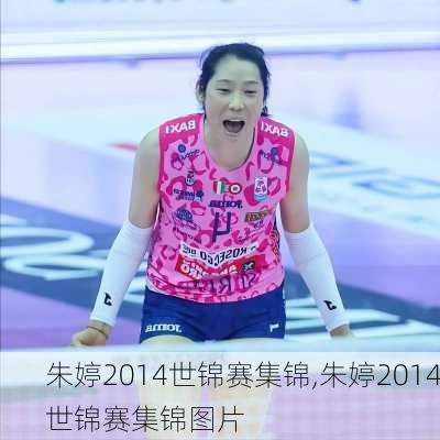 朱婷2014世锦赛集锦,朱婷2014世锦赛集锦图片